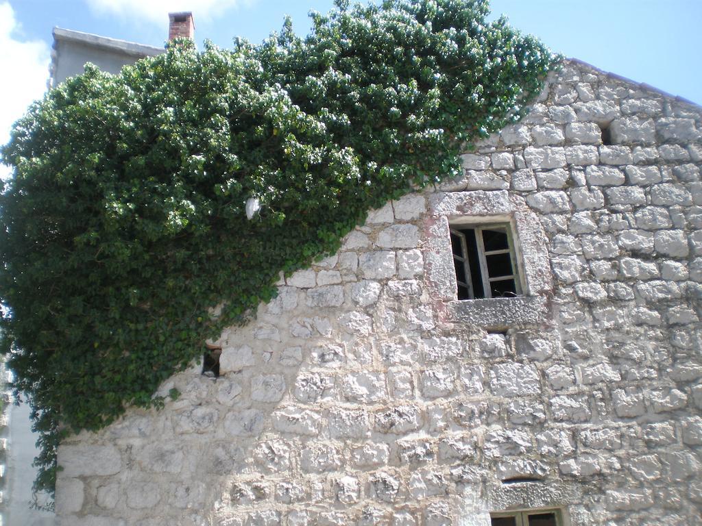 Villa Lidija Budva Cameră foto