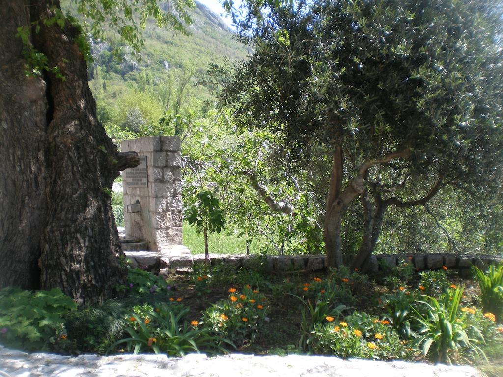 Villa Lidija Budva Cameră foto